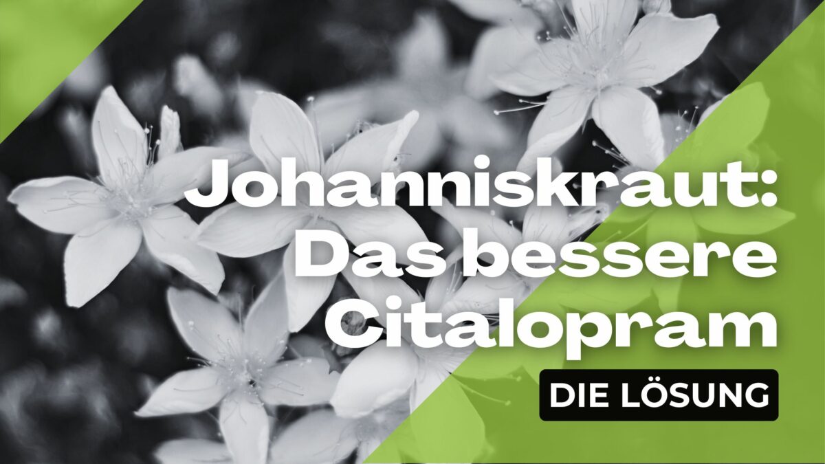 Johanniskraut - Das bessere Citalopram?